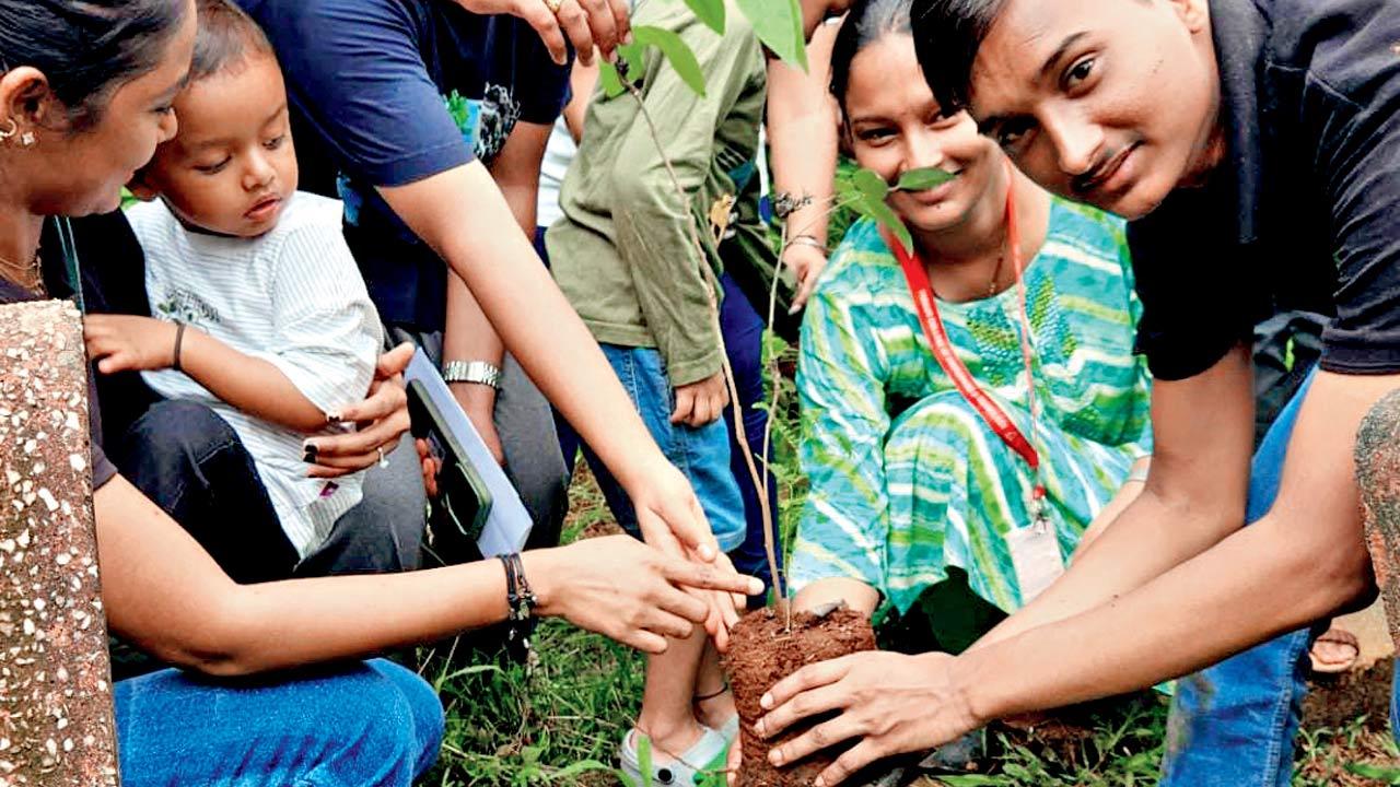 The group plants a sapling in Malad