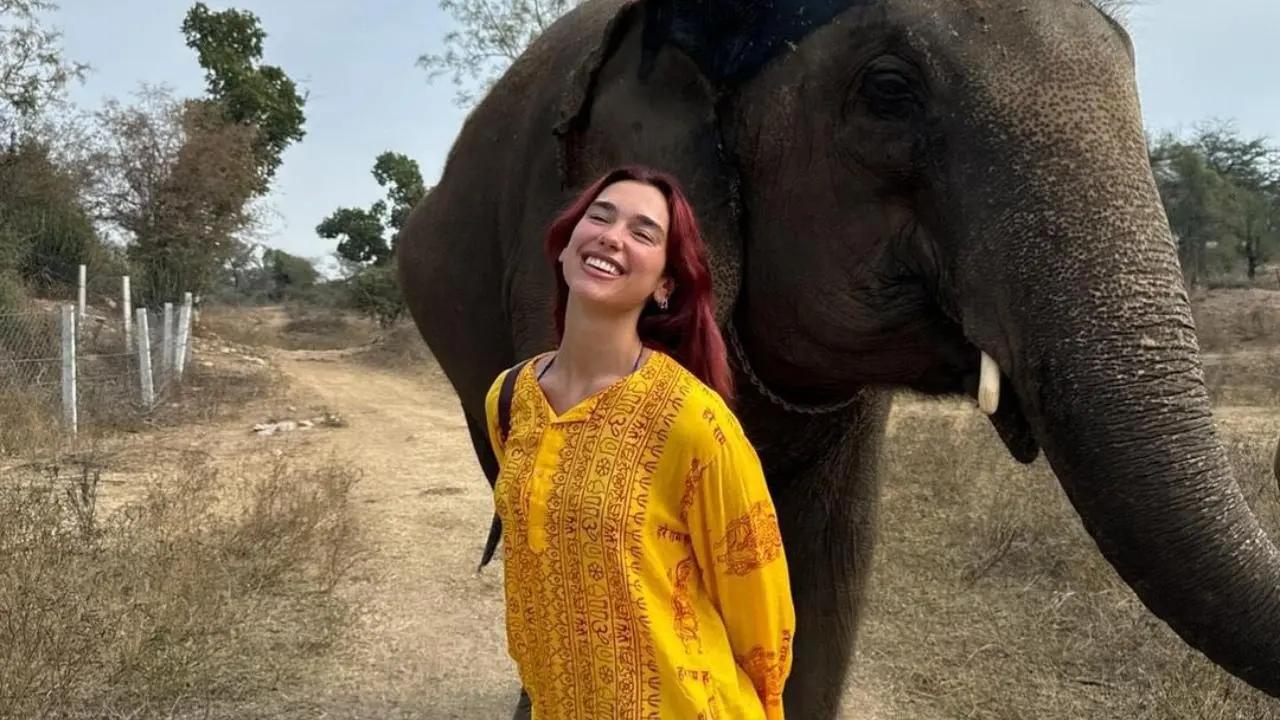 Dua Lipa will perform at the Feeding India Concert by Zomato on November 30, 2024. She made her debut performance in the country back in November 2019. Read more