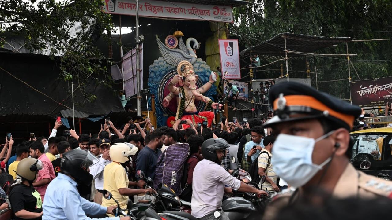 This year, the BMC has decided to list the artificial ponds on Google Maps to make it easier for residents to find these facilities near their homes