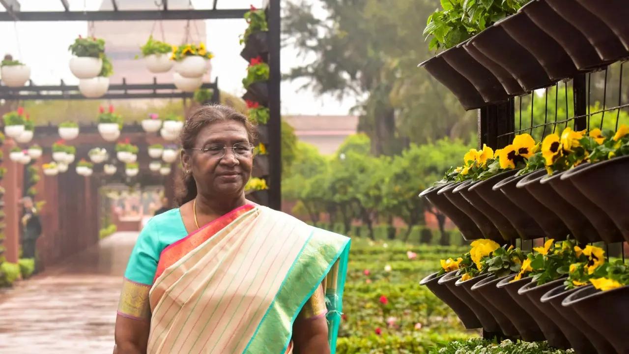 Raksha Bandhan 2024: President Droupadi Murmu asks citizens to take pledge to ensure women's safety  