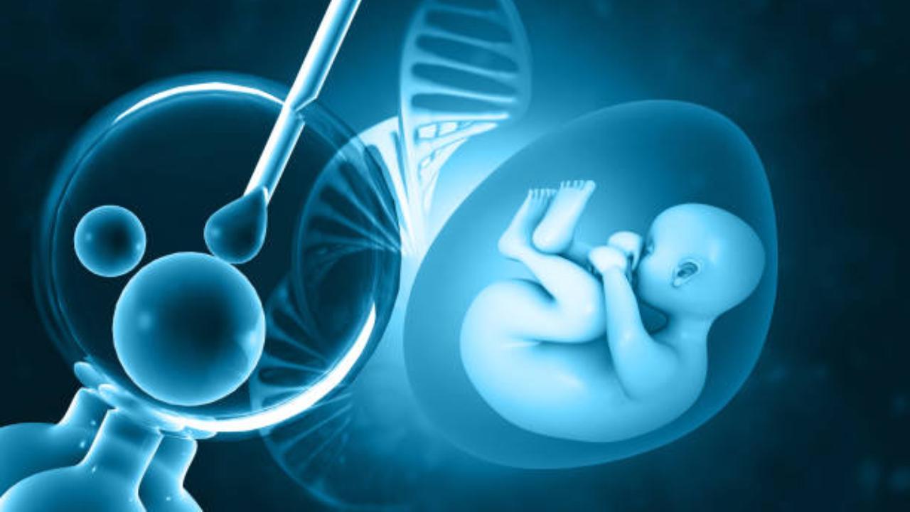 IVF can prevent genetic disorders from being passed to offspring, here's how