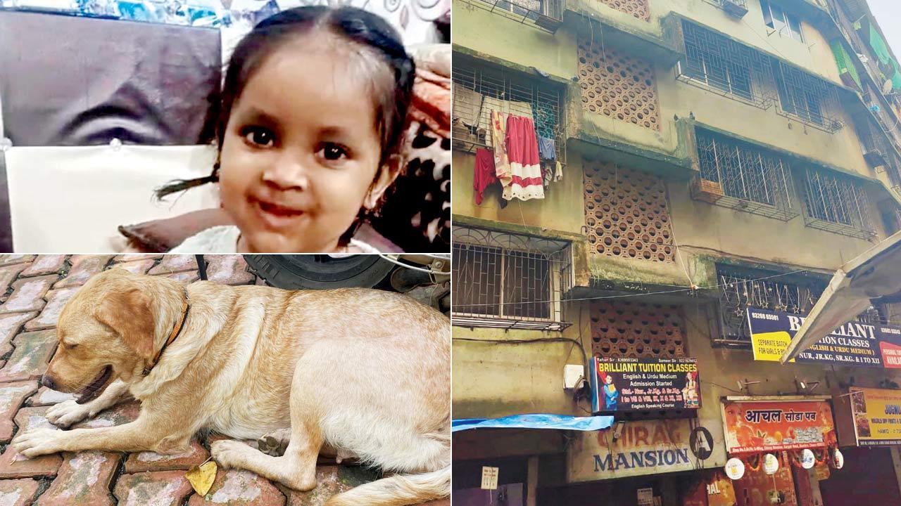 Thane: Girl’s kin seek protection after tragic dog accident