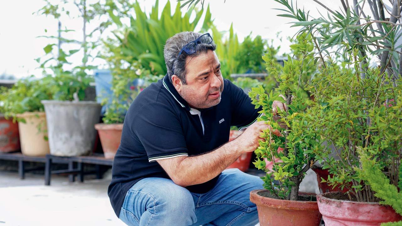 Mehrotra aims to spend his retirement time by walking, eating home-cooked food, resting, and looking after the plants on his terrace. Pic/Nishad Alam