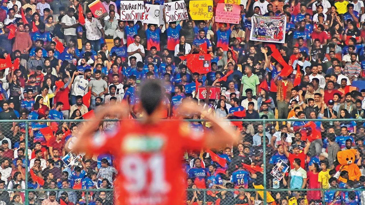 Is cricket right on the money?