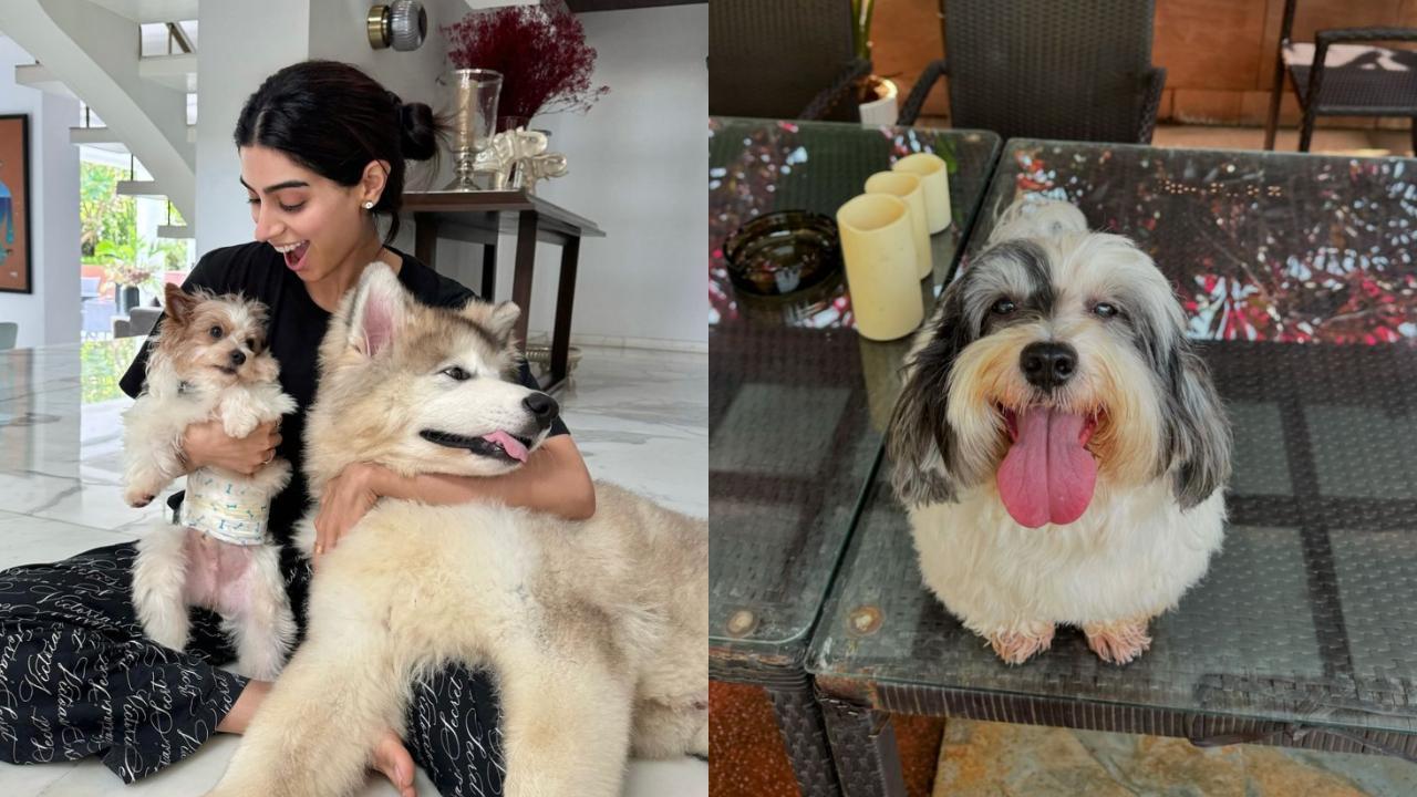 In Pics: Khushi Kapoor gives a glimpse of her day with her adorable pet dogs