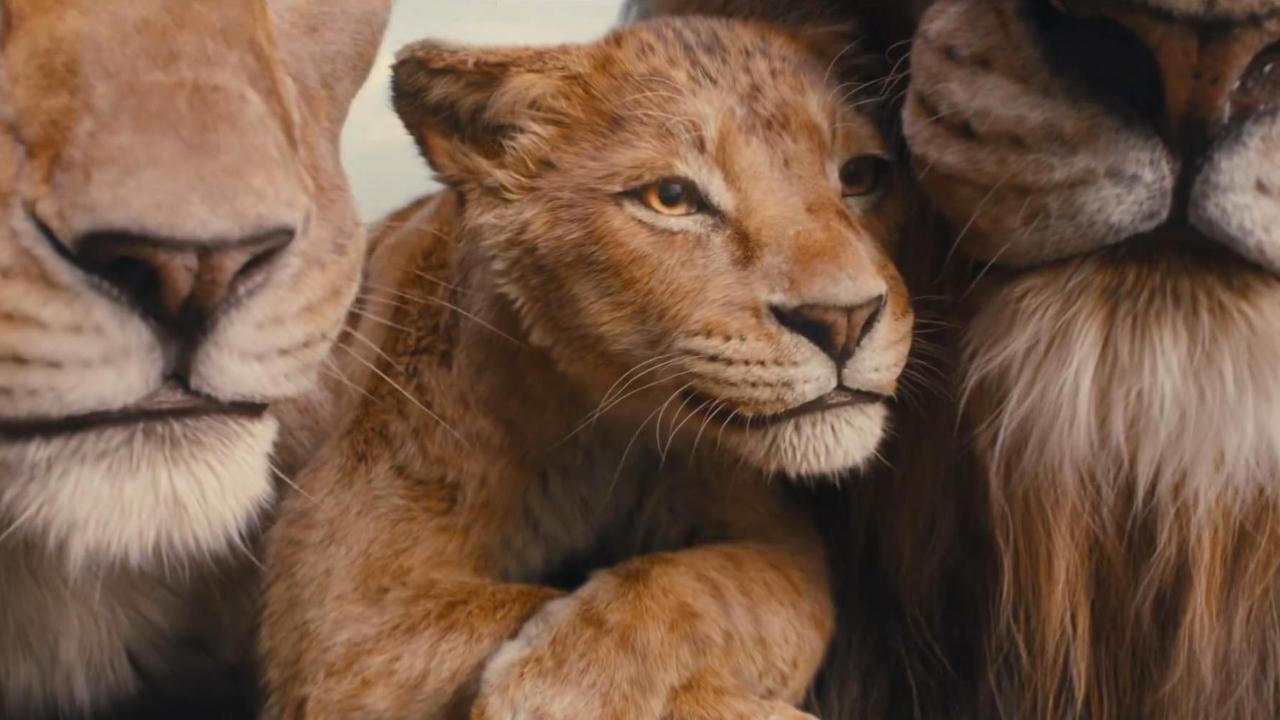 'Mufasa The Lion King' trailer: A glimpse into Mufasa and Scar's bond