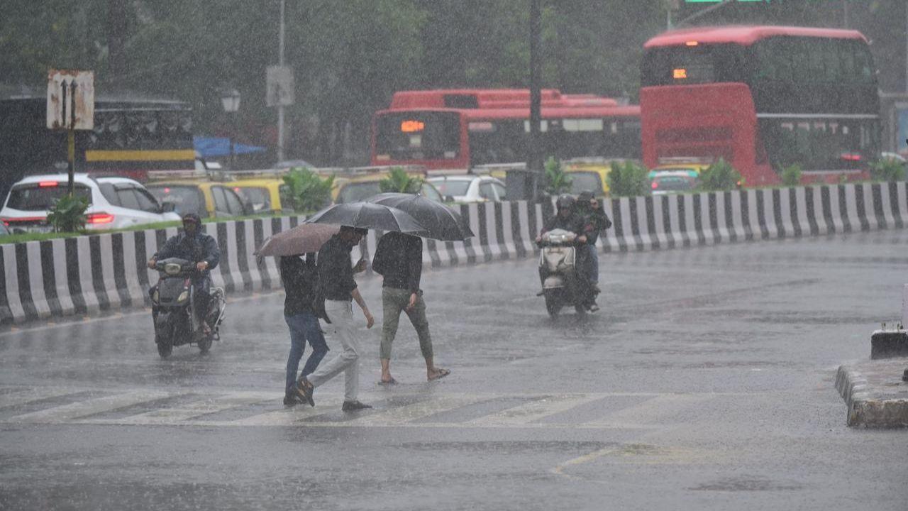 Parbhani district is expected to see light spells of rain along with thunderstorms and gusty winds reaching 30-40 km/h, the IMD added. 