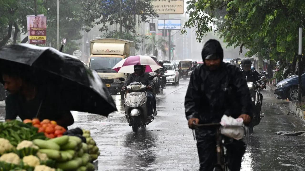 Maharashtra received 'significant' rainfall, says IMD