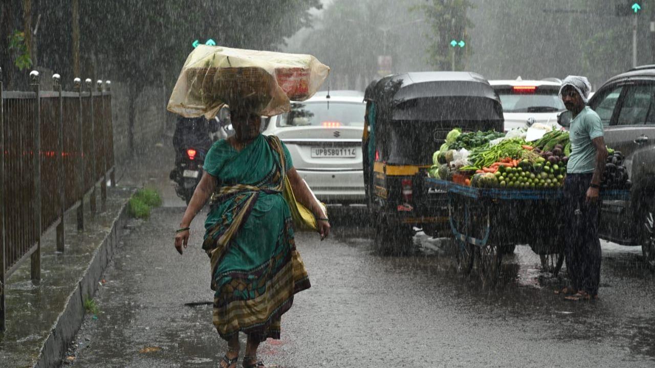 The Met department said that rains will be accompanied by gusty winds reaching speeds of 40-50 km/h. 