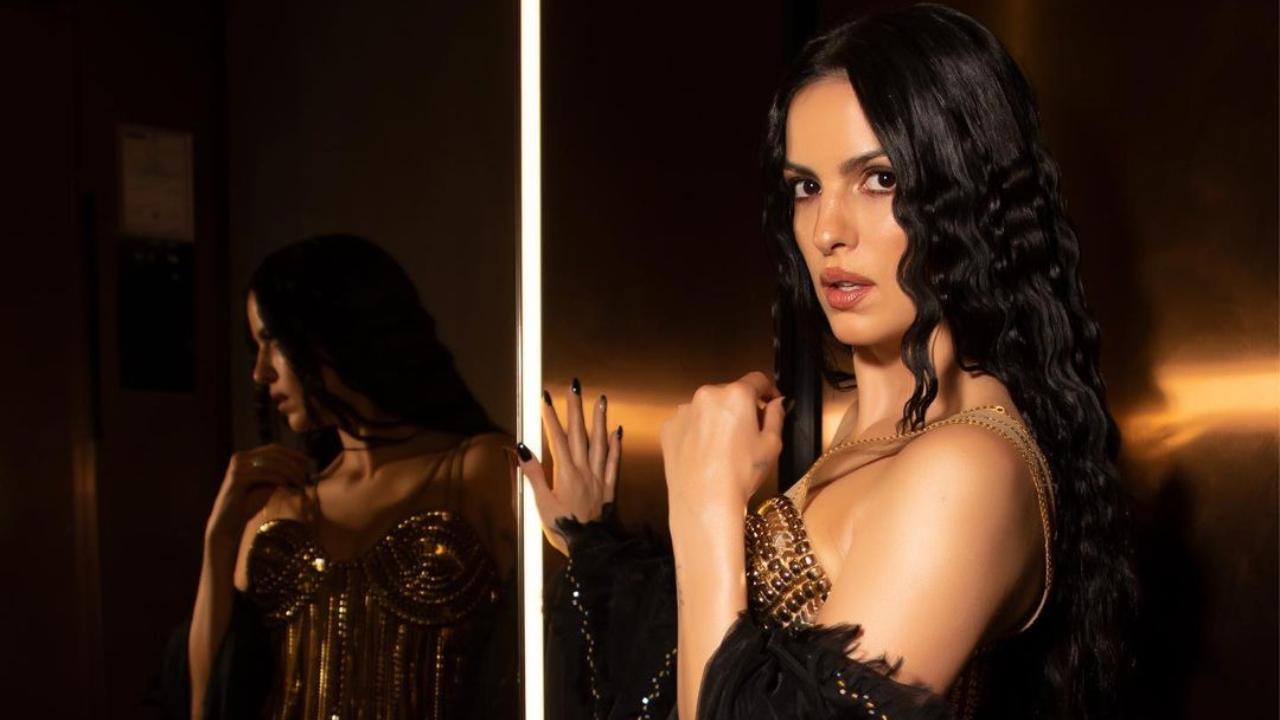 Cheating the reason behind Natasa Stankovic and Hardik Pandya's separation? Here's what netizens found