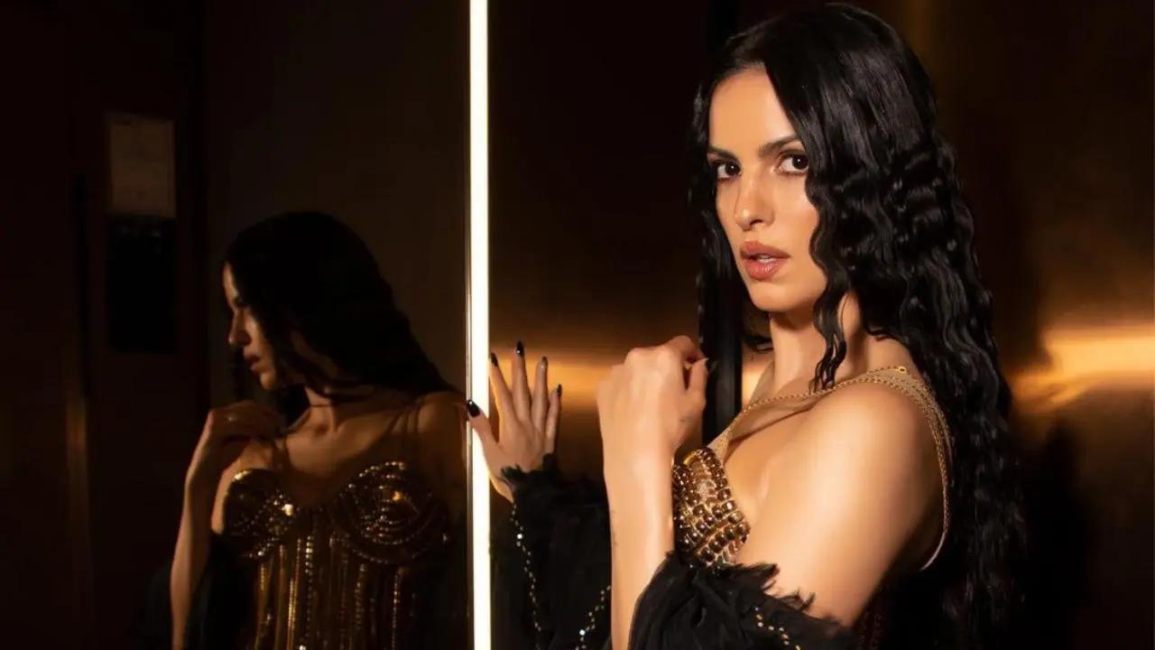 Natasa Stankovic and Hardik Pandya never revealed the reason behind their split. But some netizens have a theory behind their separation based on Natasa's recent social media activities. Read more
