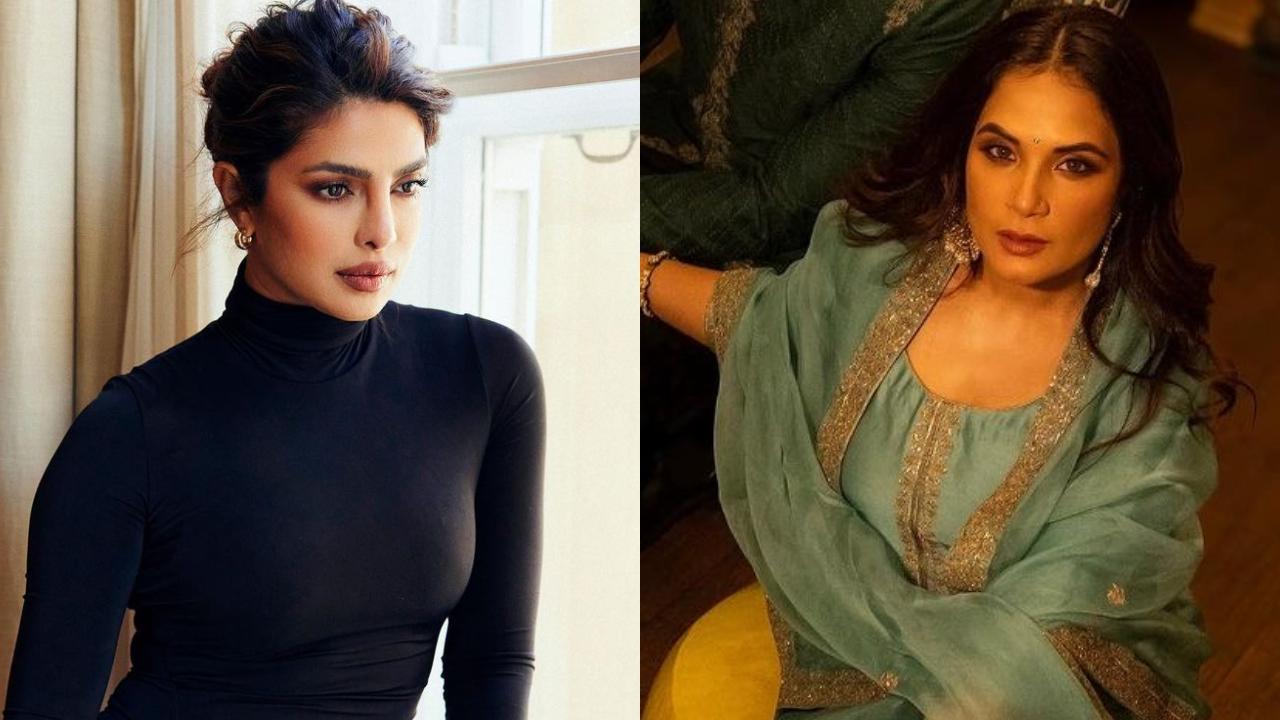 Priyanka Chopra's sweet gesture for Richa and Ali's baby