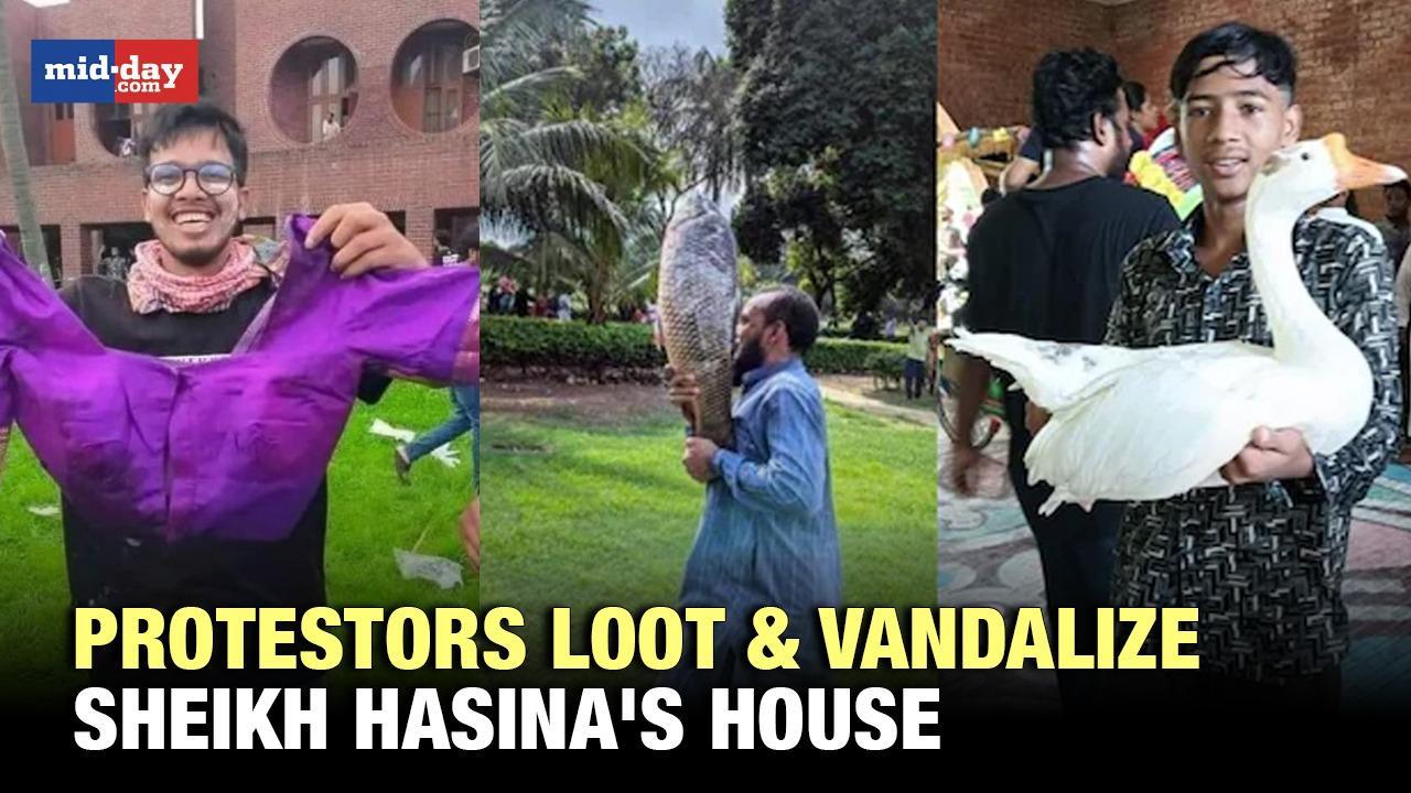 Bangladesh protest: Mob vandalizes ex PM Sheikh Hasina's house