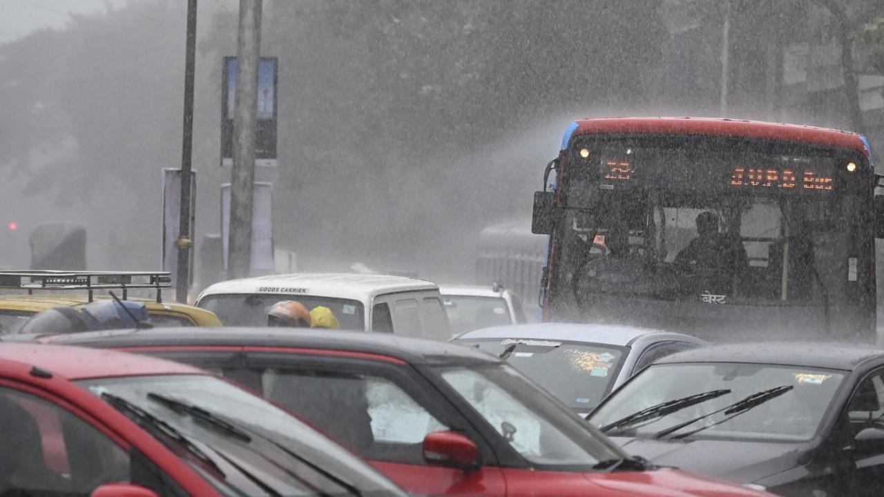 Meanwhile, the neighbouring districts of Thane and Palghar have been issued an orange and red alert, respectively, for August 4 