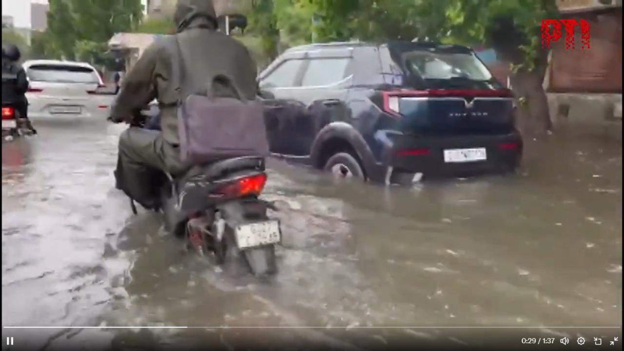 Heavy rains in Gujarat: Residential areas in Vadodara waterlogged after Vishwamitri River overflows 