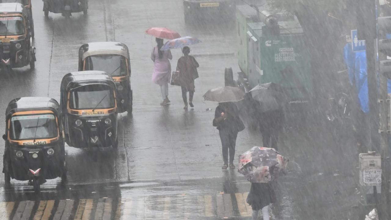 The BMC, in its weather update, stated that a high tide of height 3.49 meters was expected to hit the city's coast at 10.51 pm while a low tide of height of 1.89 meters was expected at 5.10 pm
