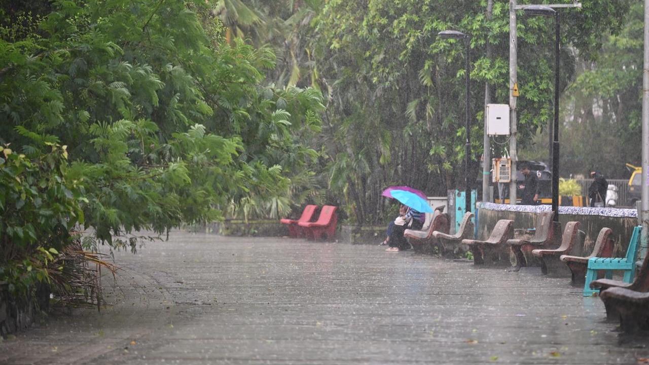 The civic body stated that the island city, in 24-hour duration that ended at 8 am on Friday, received 10.83 mm of rainfall while the eastern and western suburbs received 17.22 mm and 8.62 mm of rainfall respectively