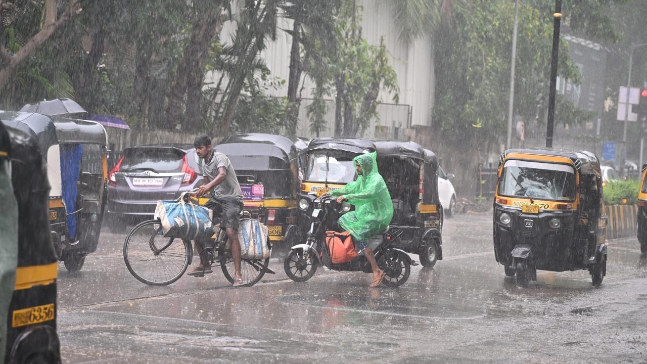 IMD on Friday predicted mild to moderate rainfall for the city and suburbs. Pics/Atul Kamble