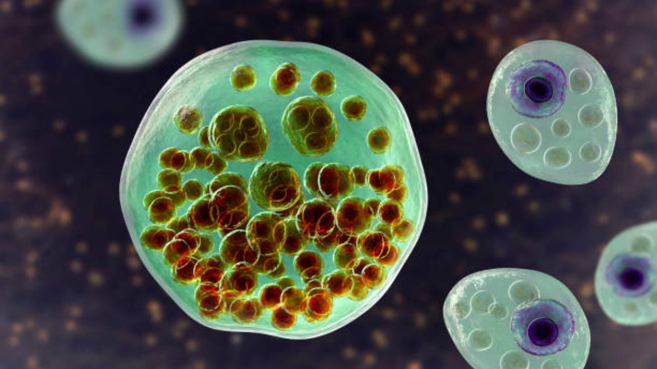 Drug trial shows promise for less invasive treatment of rare foetal blood disease