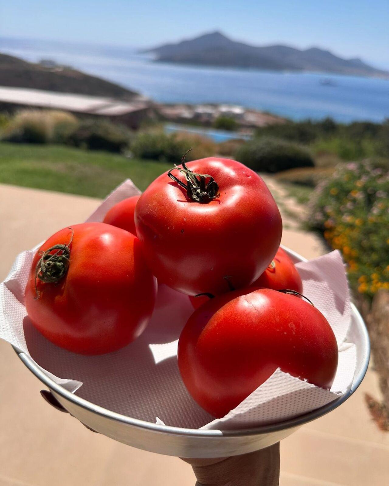 She also gorged on some vitamin-rich food rather than going for a cheat meal. Here’s a plate of some juicy tomatoes. 