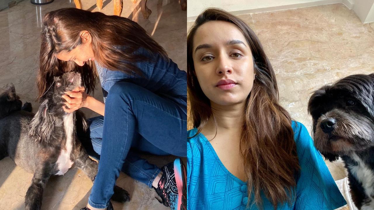 Shraddha Kapoor marks friendship day with the cutest Shyloh, see pics