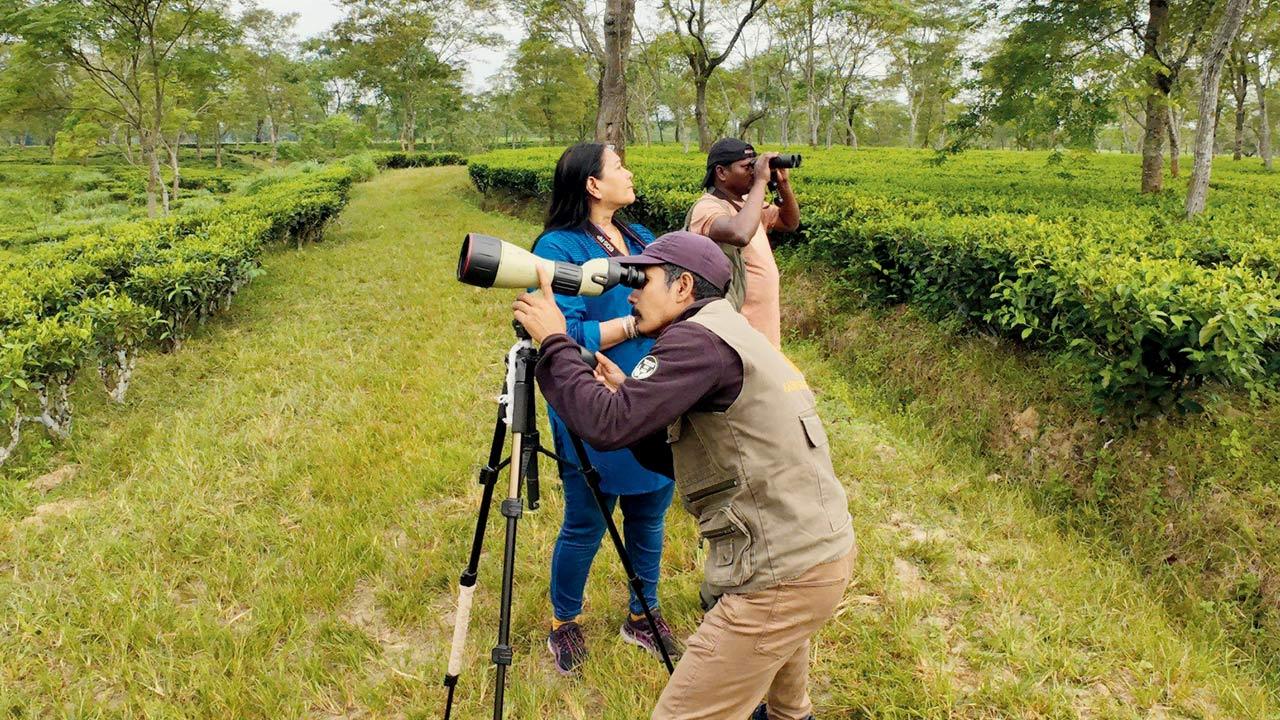 Agrawal and a group of birders keep an eye out for avian sightings  at Kaziranga National Park, Assam