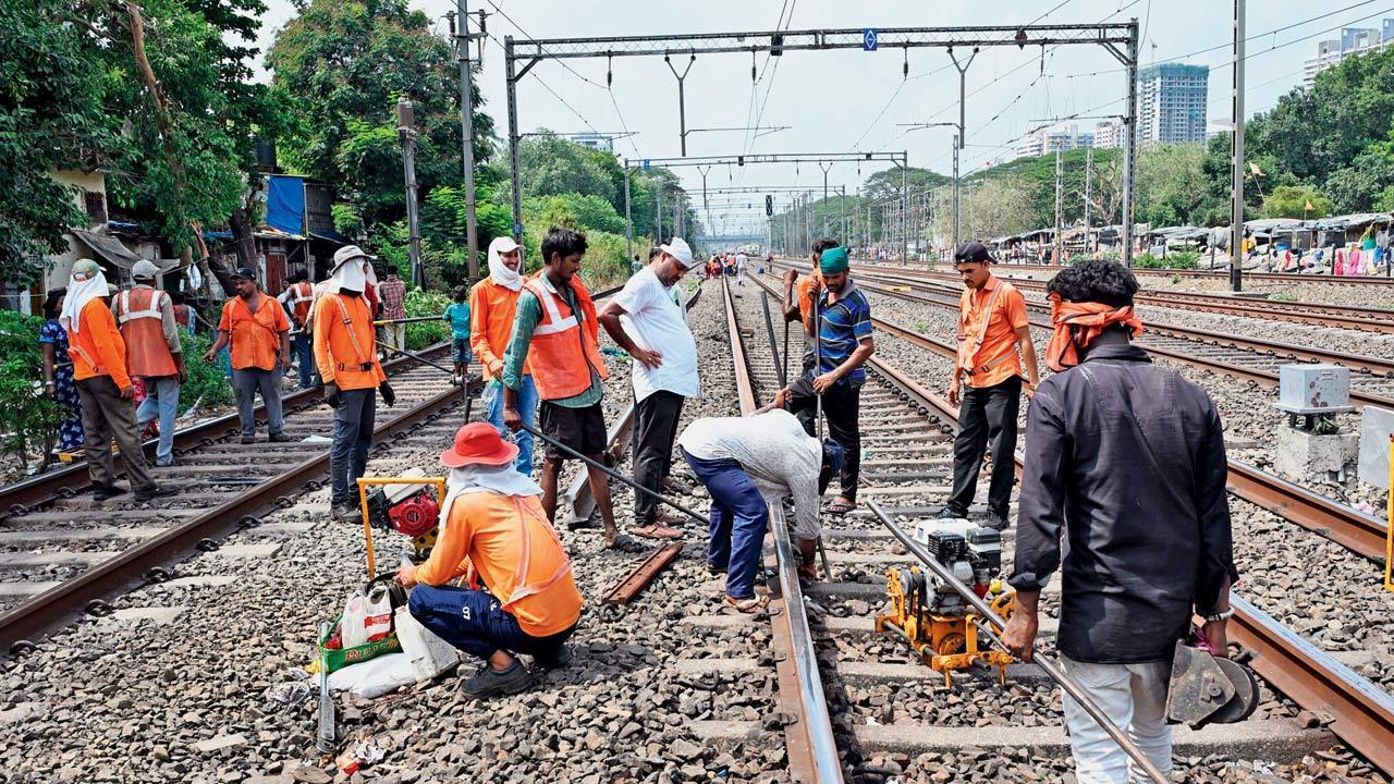 Mumbai local train updates: WR services to take hit for new line work