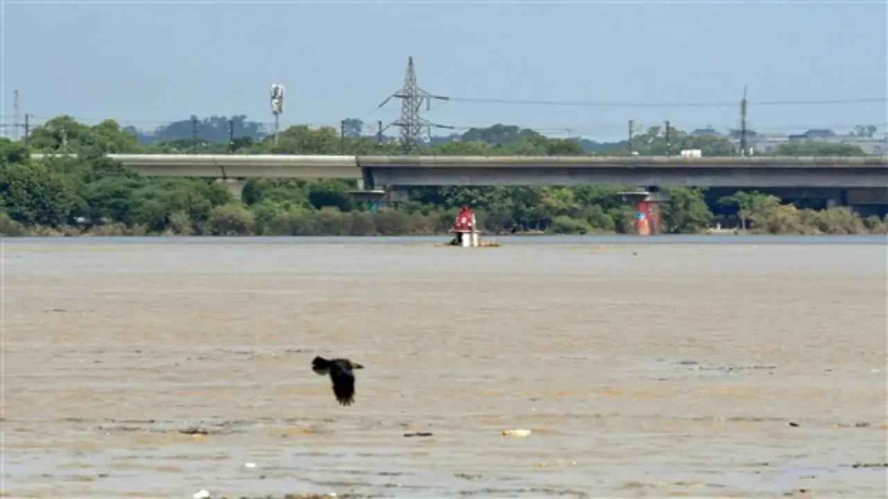 Yamuna pollution: 32 online monitoring stations to be set up for realtime data on pollutants