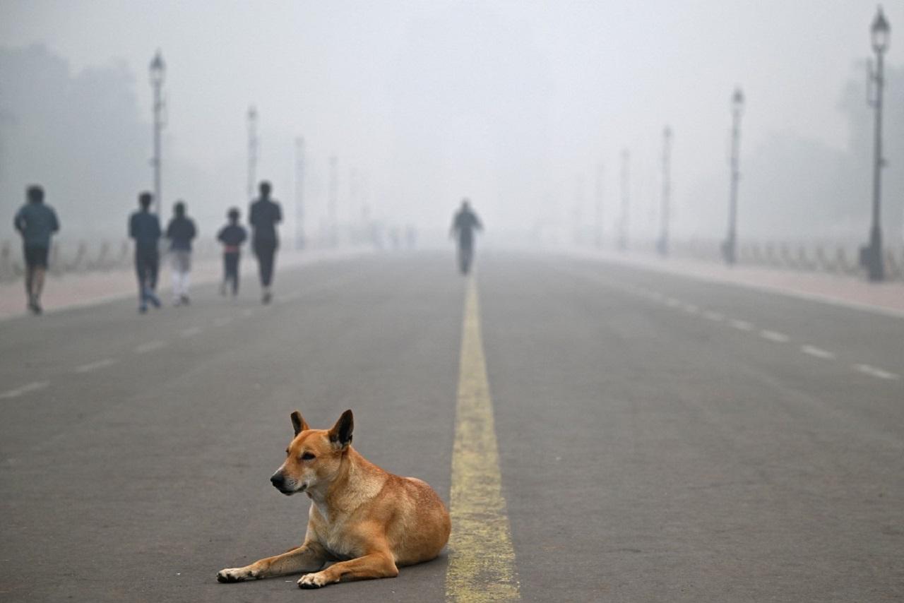 As per data of CPCB, AQI in Alipur was 231, 225 in Ashok Vihar, 262 in Bawana and 274 in Burari crossing