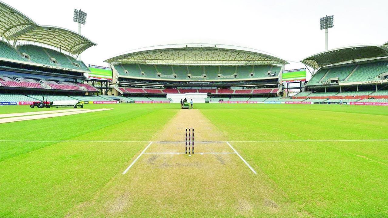 Thunderstorms to affect Day One in Adelaide, says curator
