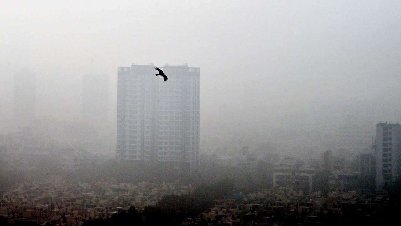 A bird is silhouetted against a hazy sky in Borivli. Pic/Nimesh Dave