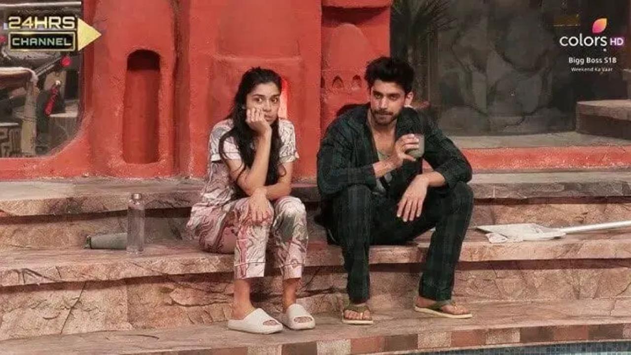 Bigg Boss 18 contestants Avinash Mishra and Eisha Singh’s relationship has been the talk of the town. Many fans found their bond endearing. However, when the Titli actor confessed his feelings to the Ishq Ka Rang Safed actor, she friend-zoned him, leaving many fans heartbroken.