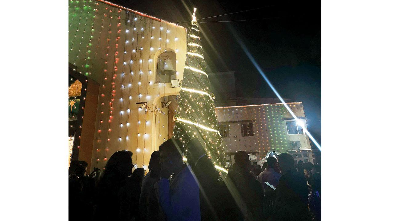 The Marol Christmas tree that stands tall at Marol 