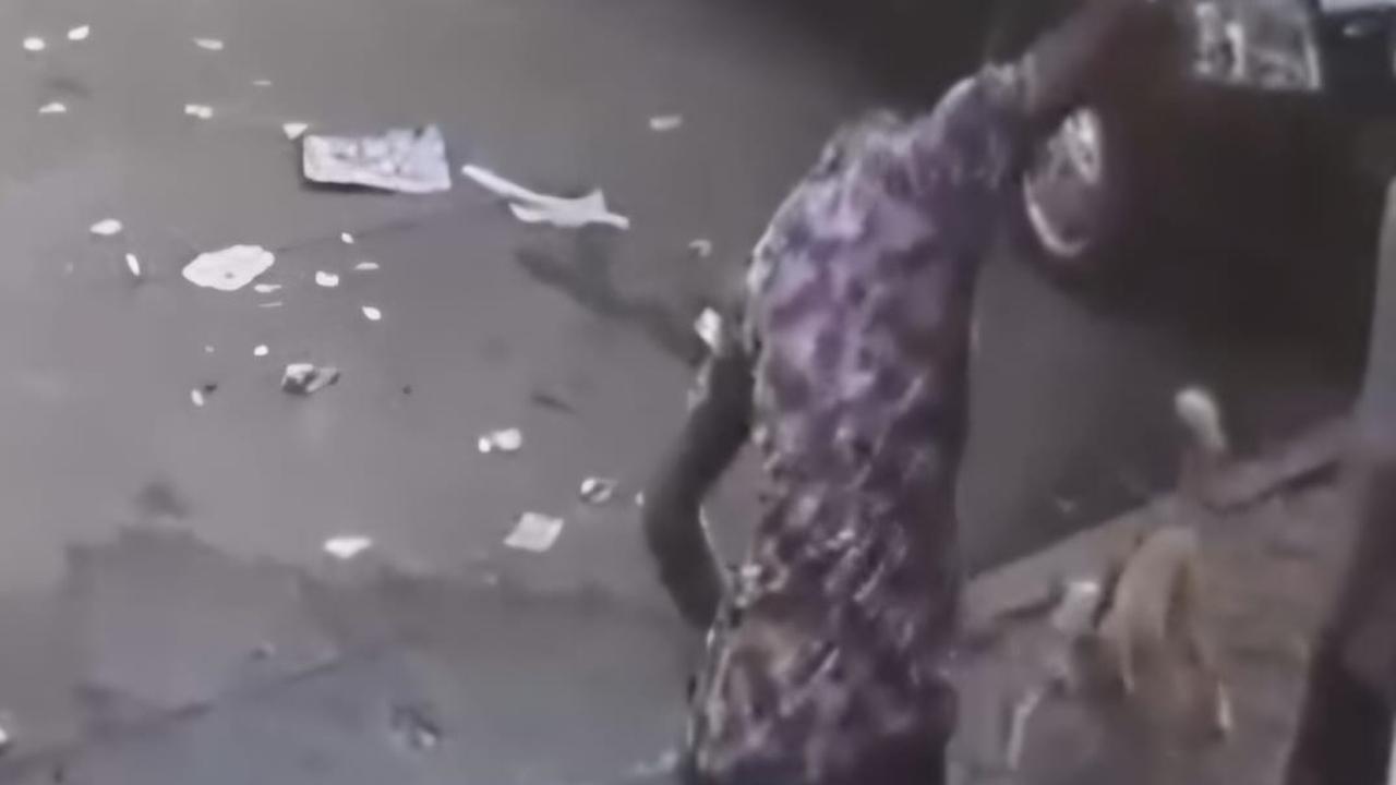 Man caught brutally beating pet dog with spanner in CCTV footage, Sion police begins probe