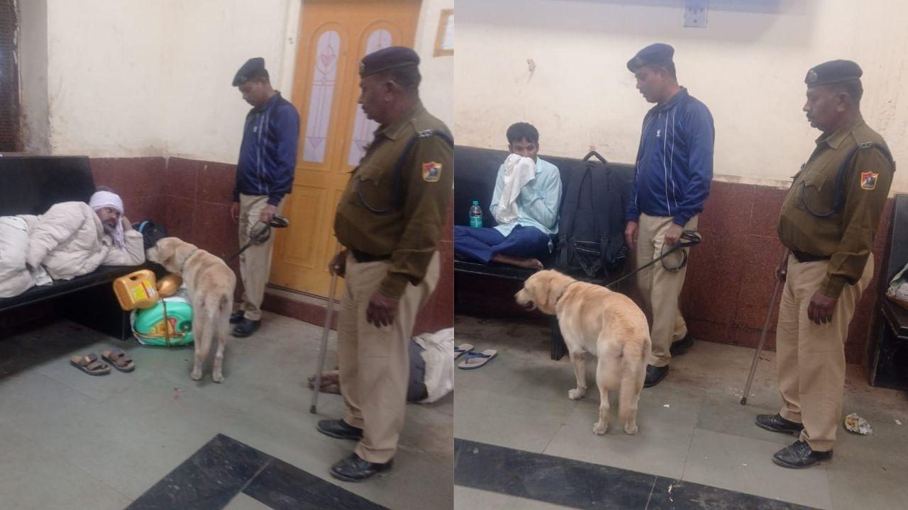 Man held for sending hoax bomb threat in Jalgaon