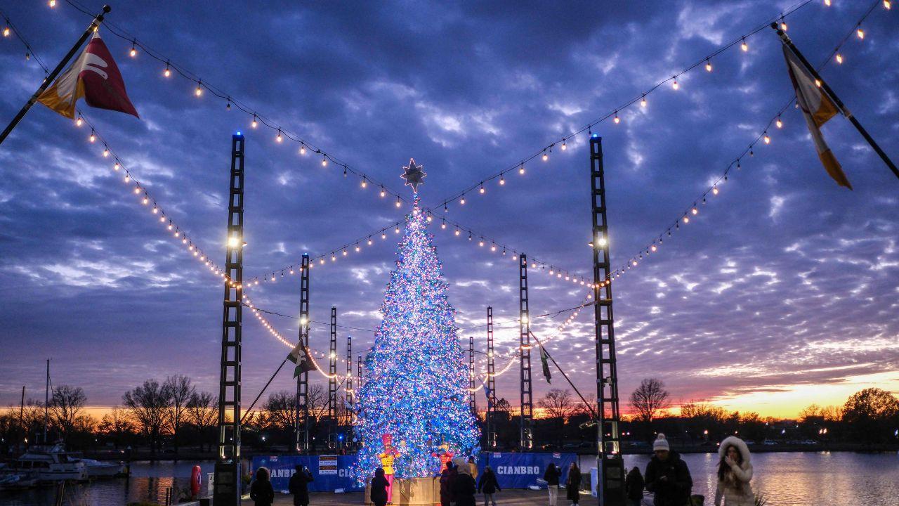 IN PHOTOS: Christmas 2024 celebrations illuminate cities worldwide