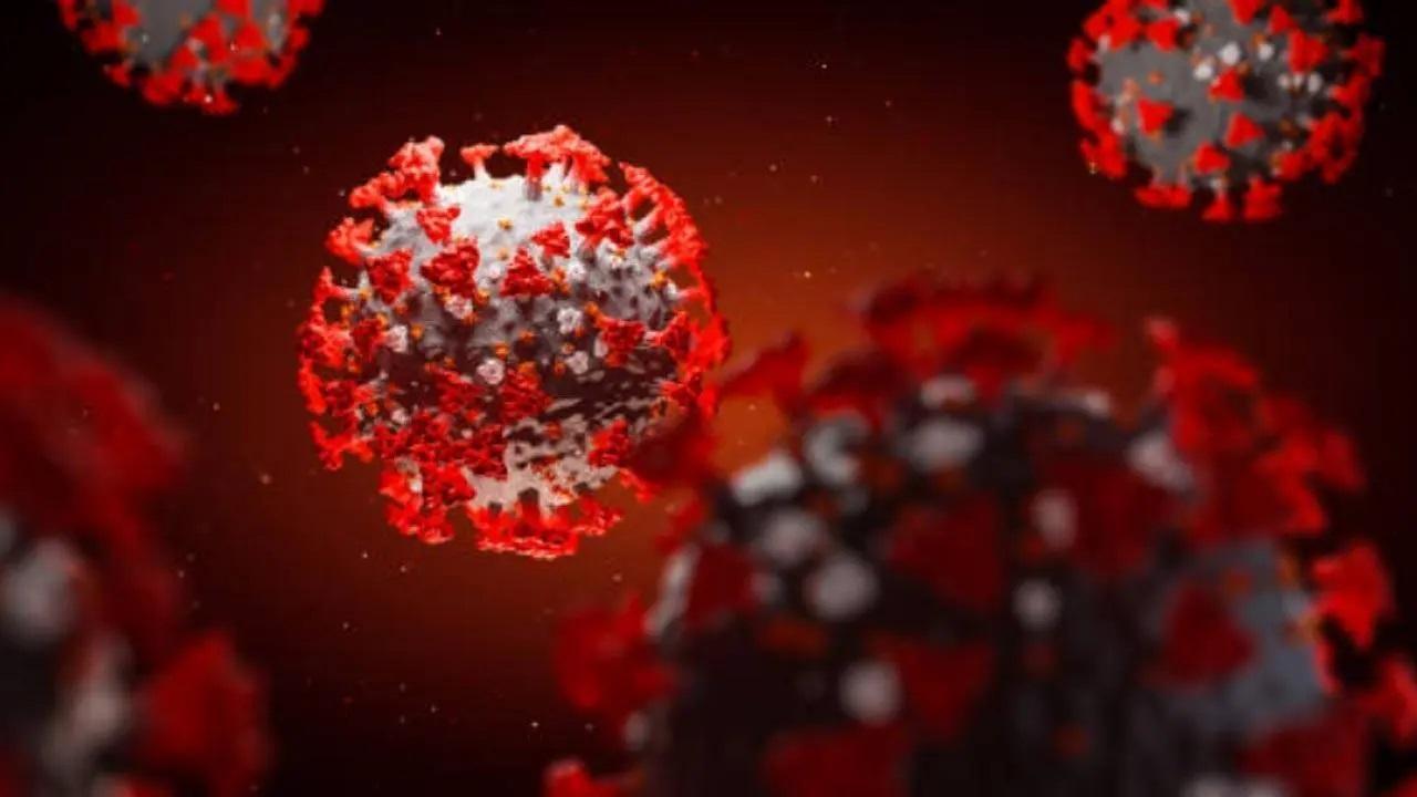 Covid virus lurks in skull and brain meninges for years after infection: Study