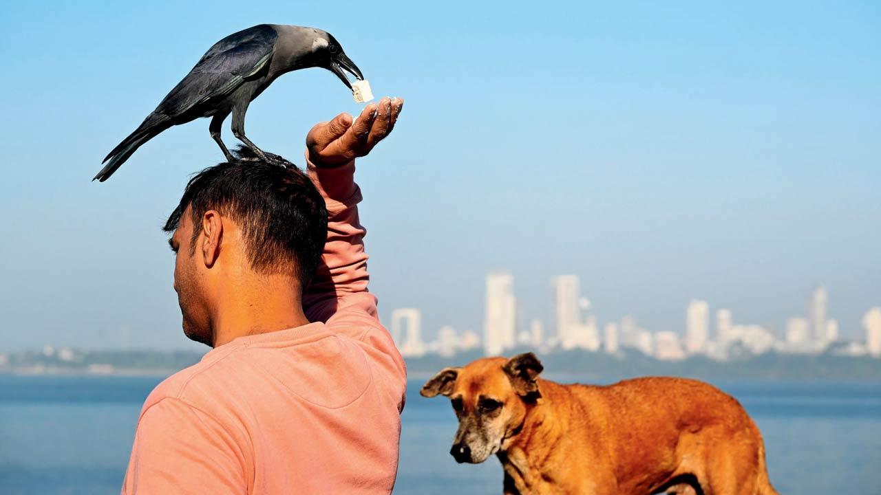 Mumbai Diary: Sunday Dossier