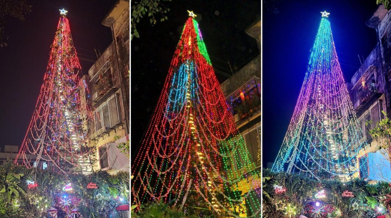 Douglas Saldanha says the Christmas tree is one of the tallest fully decorated natural trees in India. Photos Courtesy: Douglas Saldanha
