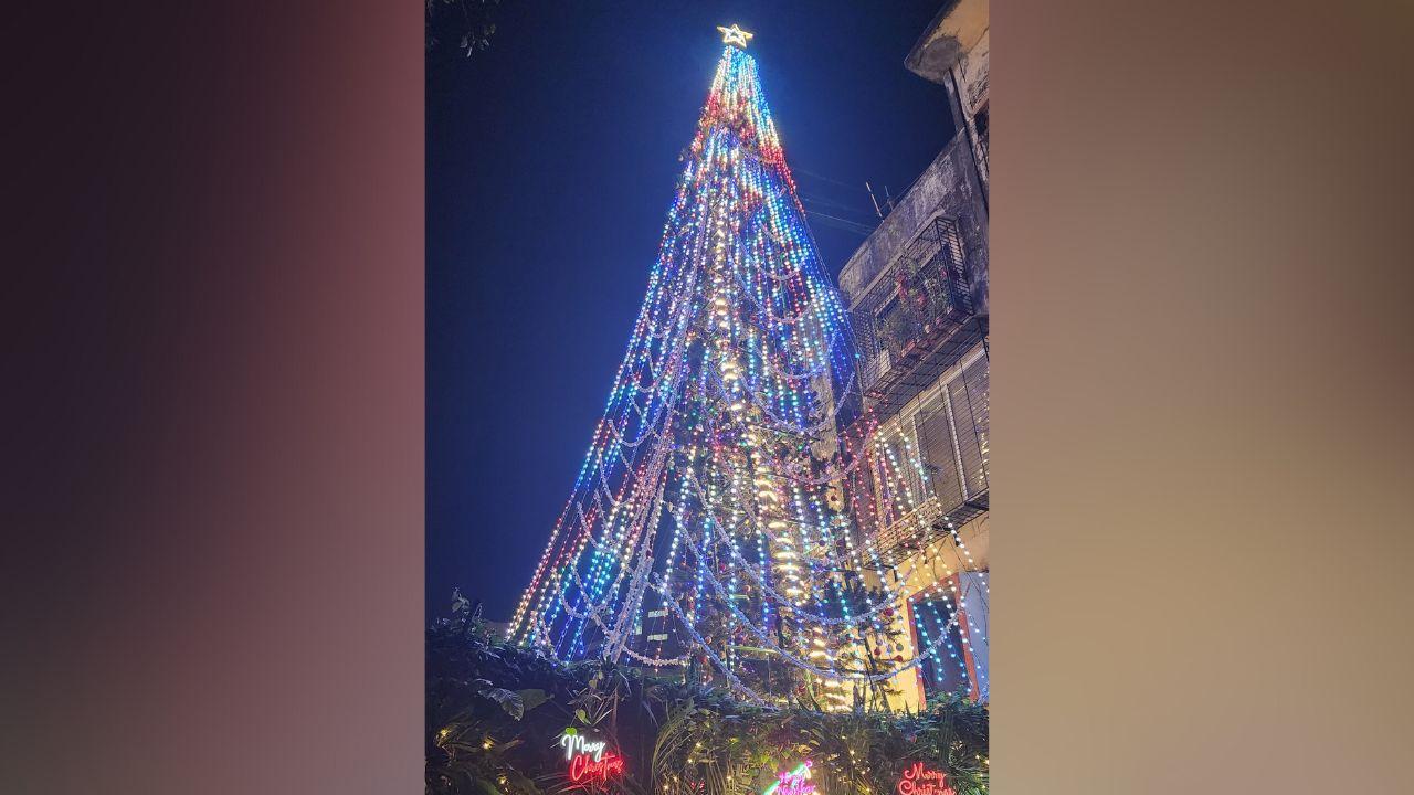 Today, he spends approximately Rs 3-4 lakhs every year. The cost includes not only the decorations but also the labour involved as he employs workers to do it fully with the help of a bamboo scaffolding till the top for their safety and to support the tree. He starts decorating the tree in November for Diwali and concludes in January for Republic Day, where the entire tree is in the colours of the flag. With a mix of Santa Claus and other decorations, the tree is illuminated by almost 20,000 lights.
