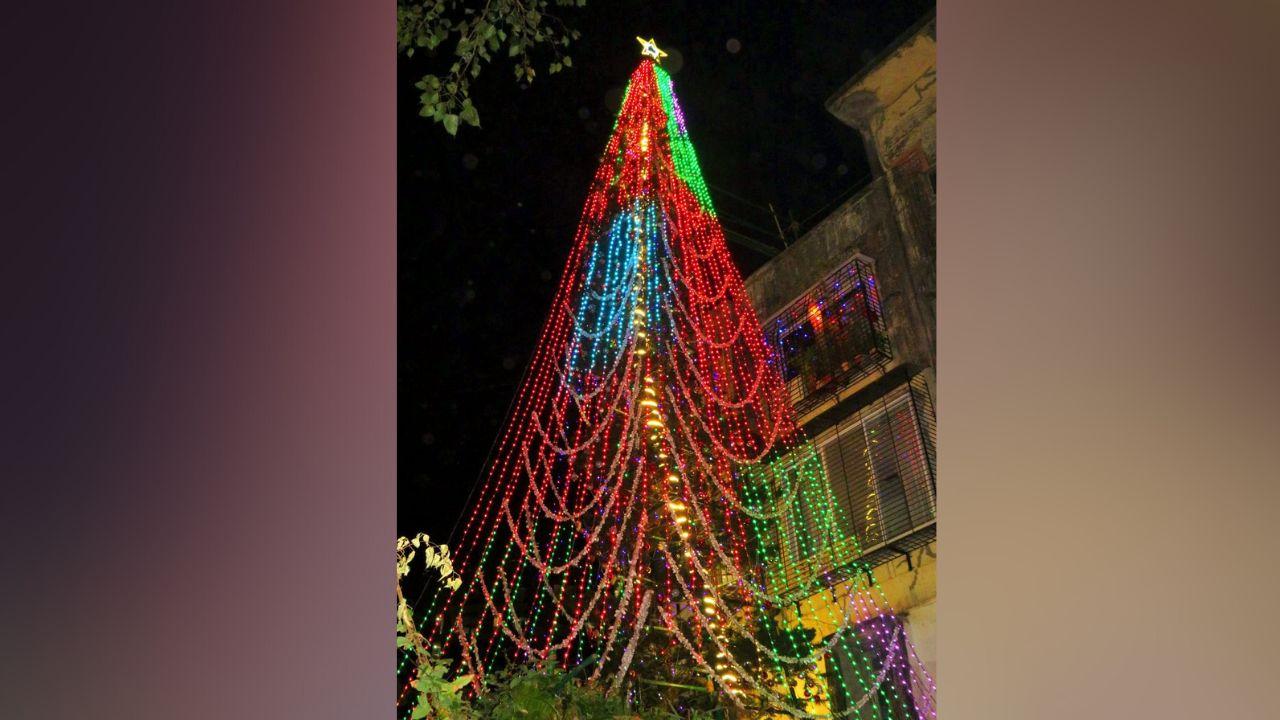 Douglas Saldanha stays overseas for eight months and returns to India for four months every year only to keep his promise. Now, he plans to take it a step further and turn the tree into something much larger to call it “the tree of hope”. It is to empower people who have lost hope and have a session with them to help them in some manner. Since he plans to do it once every month, he is currently training a small team to carry it out in the future.
