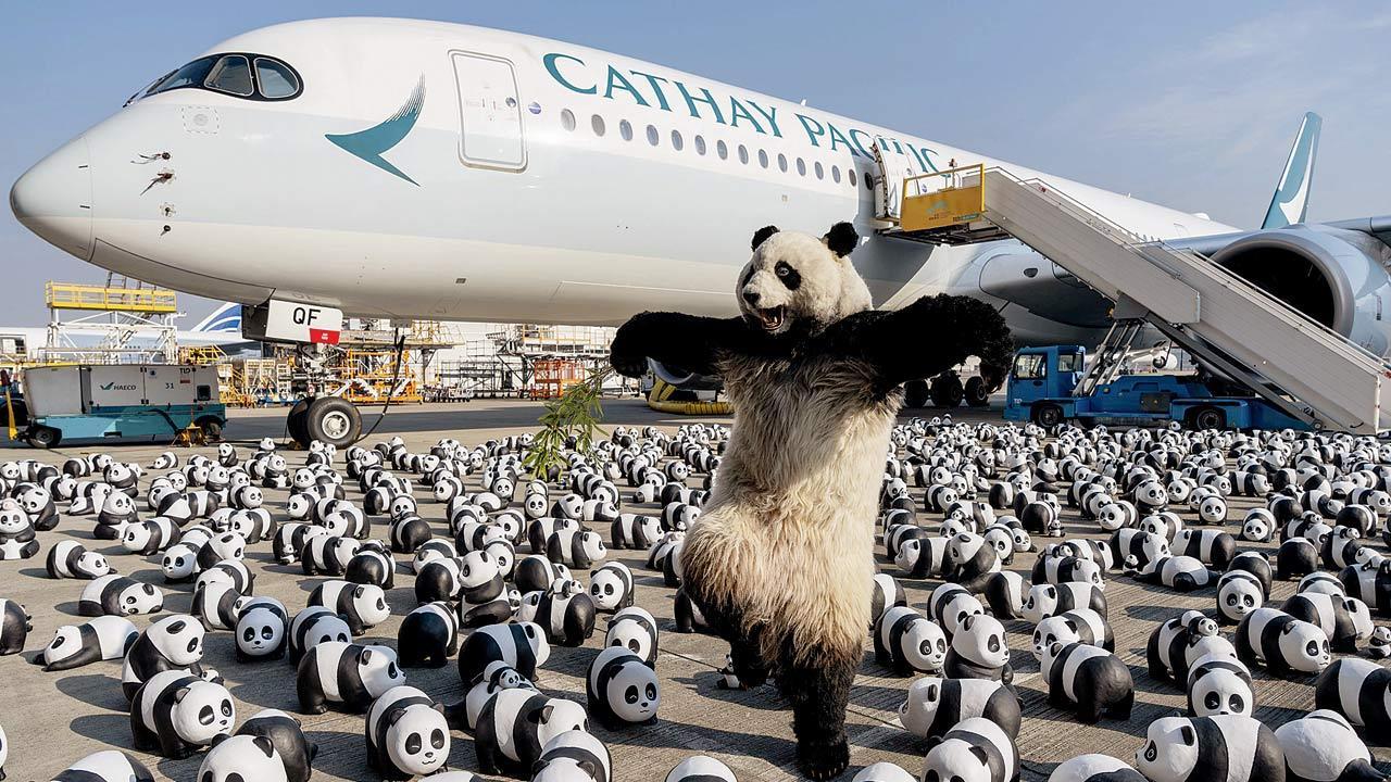 Hong Kong launches panda sculpture tour