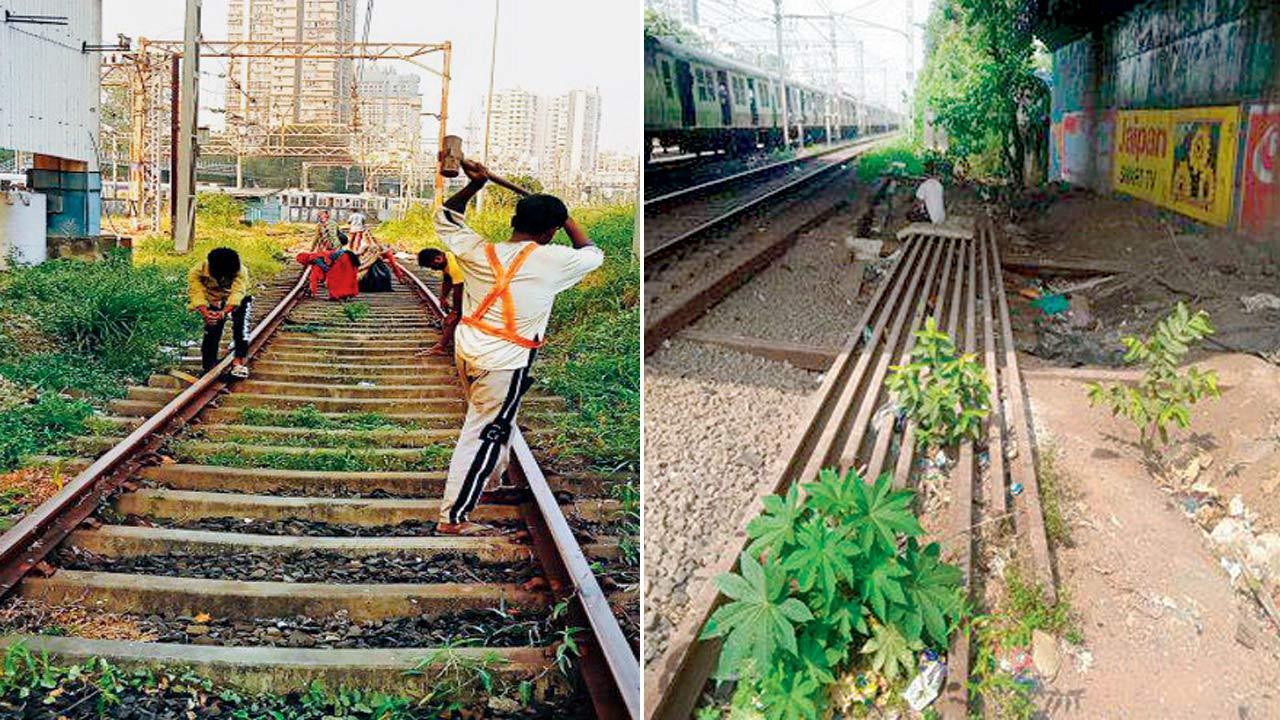 Western Railway train updates: Introduction of sixth line by March 2025 will change suburban services