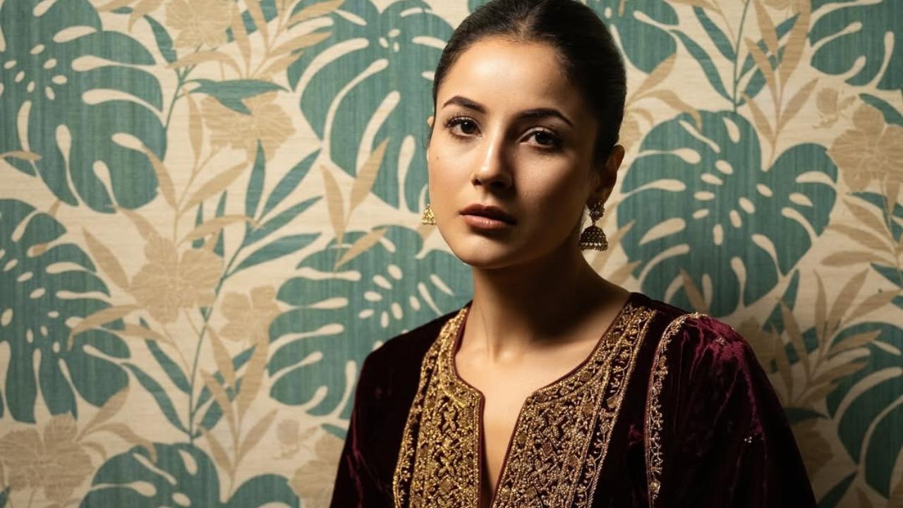 Shehnaaz Gill's Ikk Kudi starring her in lead role to release on THIS date
