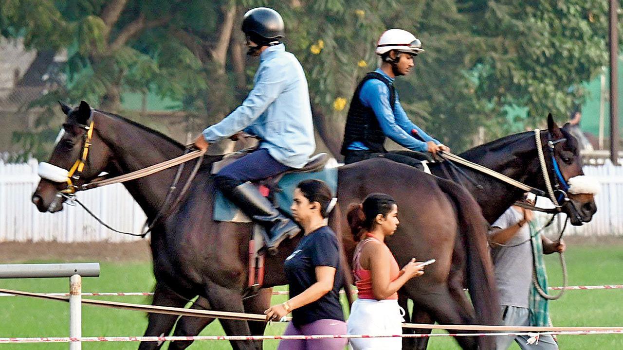 Mumbai Diary: Wednesday Dossier