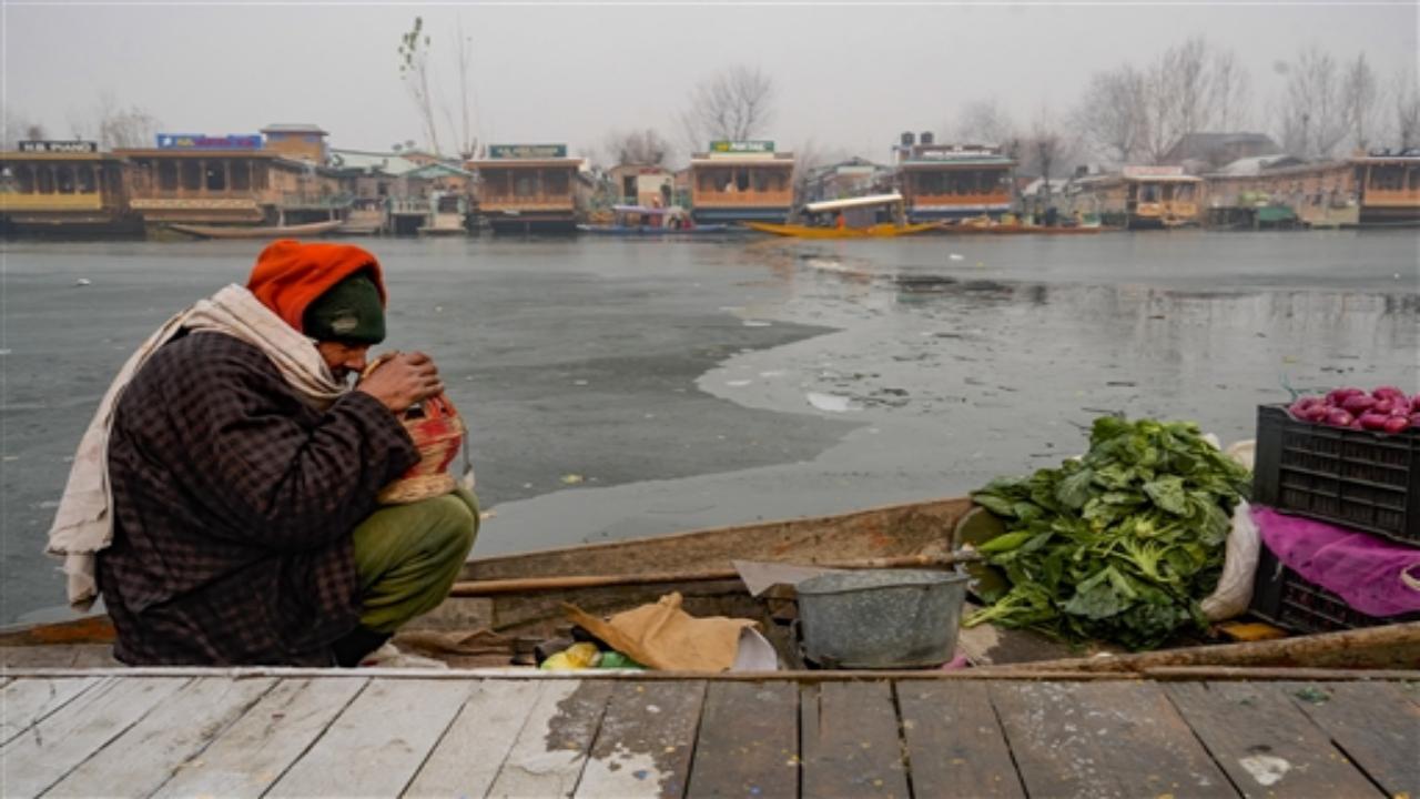 The cold wave is expected to cause disruptions in basic services, including water and electricity supply. On December 22, Jammu and Kashmir's Chief Minister Omar Abdullah cancelled his planned programmes in Jammu.