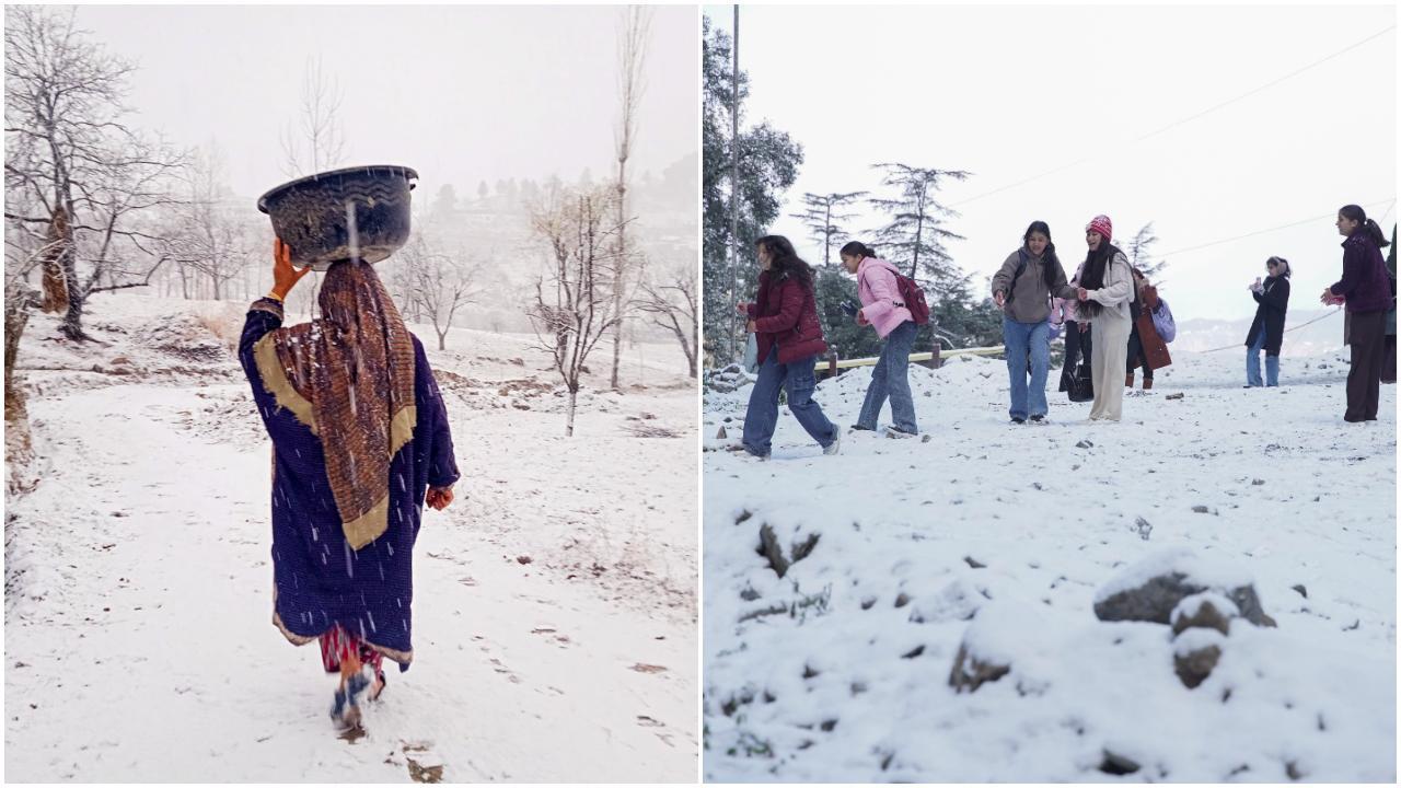 PHOTOS: Kashmir, Shimla experience fresh snowfall covering them in snow blanket
