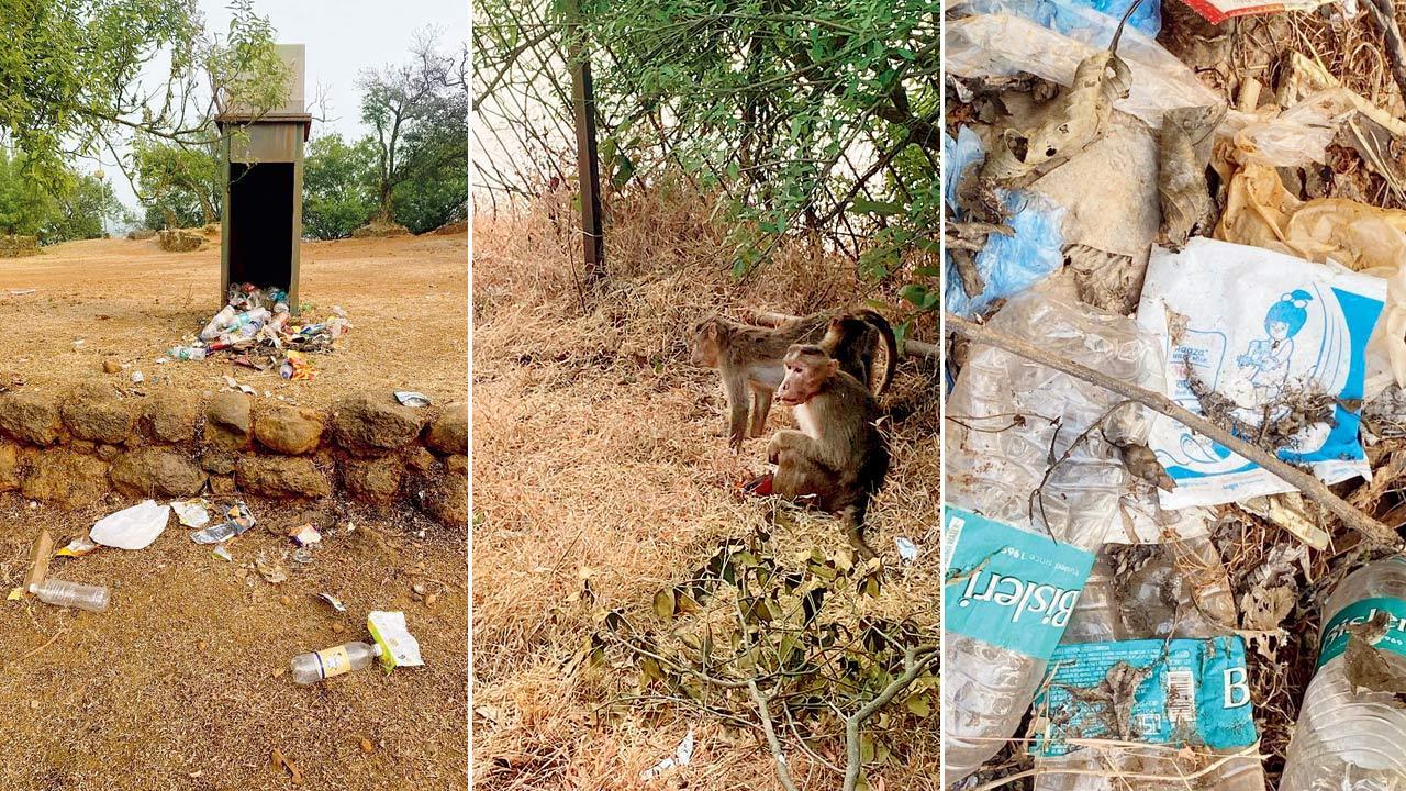 Matheran: School kids engage in cleaning the valley after tourists leave behind trash