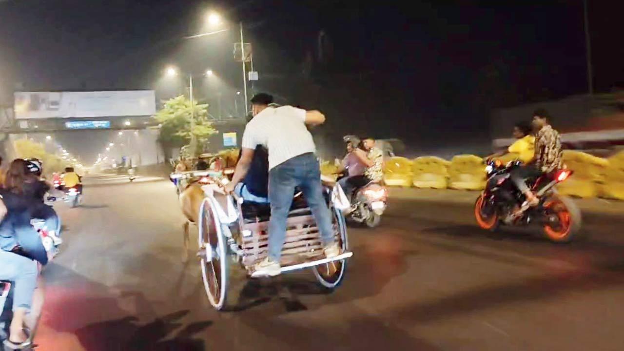 Mumbai: Midnight horse cart race on Eastern Expressway leads to FIR