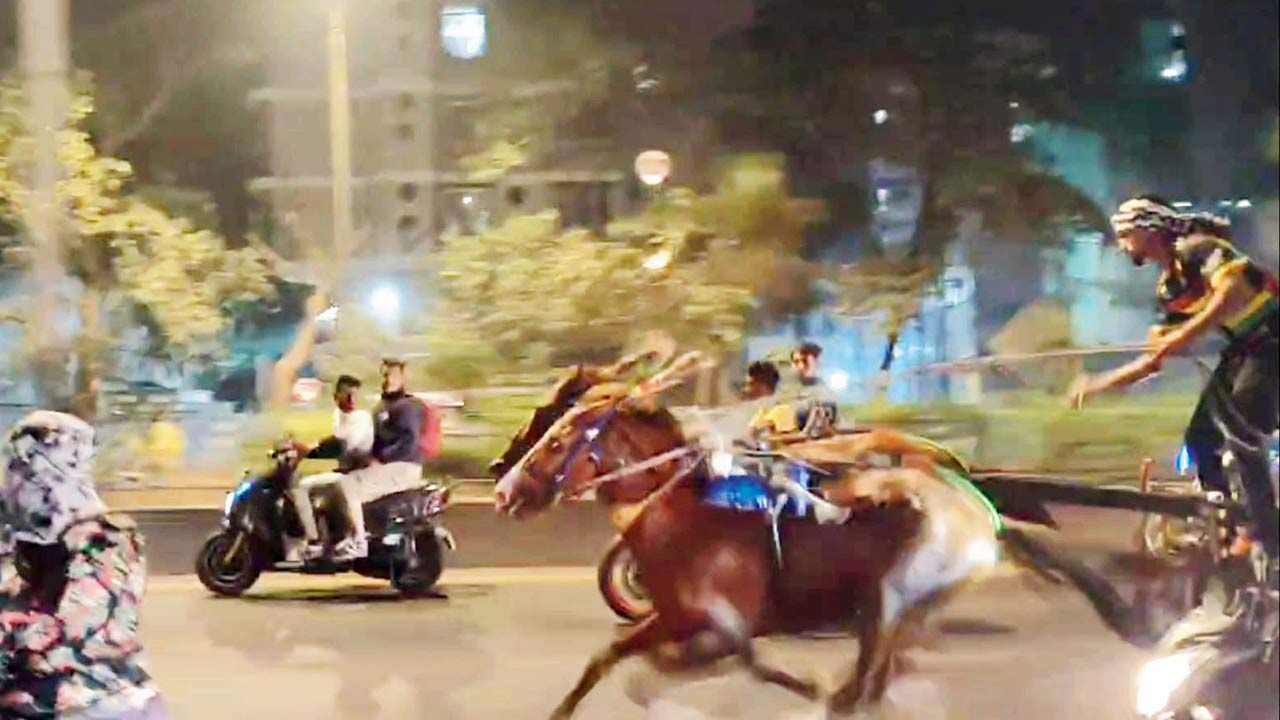 Screengrab of the viral video showing horse-cart racing on the highway. Pics/Rajesh Gupta 